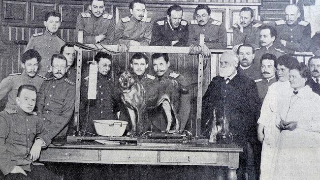 Ivan Pavlov demonstrating his experiment with a dog and conditioned responses in the 1890s. Public domain image