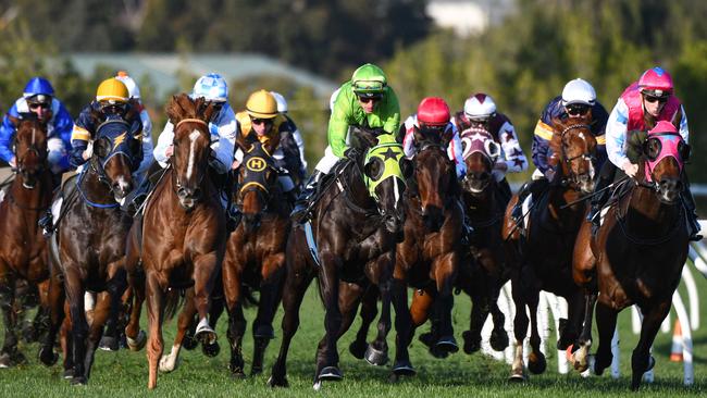 Best bets Echuca: Raceday focus: Simon Moy previews the Monday meeting ...