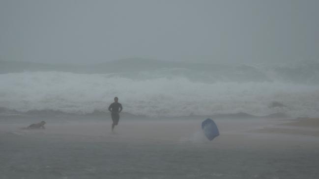 Brave or reckless? Swimmers at Narrabeen. Picture: John Grainger