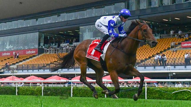 Hidden Wealth is Tony Gollan chance in the Victory Stakes according to the betting. Picture: Grant Peters, Trackside Photography