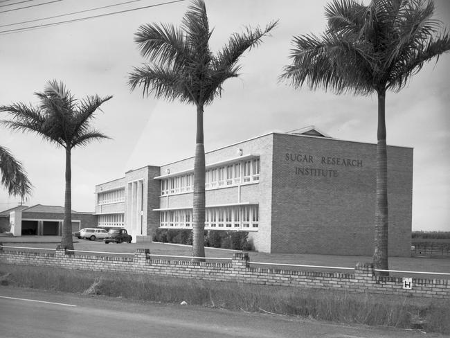 The former Sugar Research Institute on Nebo Rd in 1966. Picture: Queensland State Archives