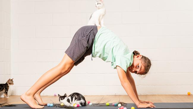 Jackson Blenkin as Bloom Holistic Collective cat yoga fundraiser and adoption drive, Friday, November 29, 2024. Picture: Kevin Farmer