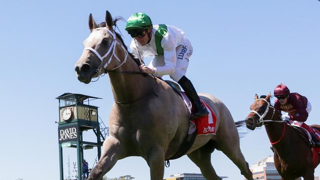 Terbium is a good chance in the Testa Rossa Stakes. Picture: AAP