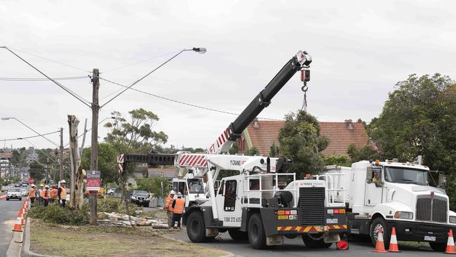 The trees being cut down at the Buckley St level crossing. Picture: Ellen Smith