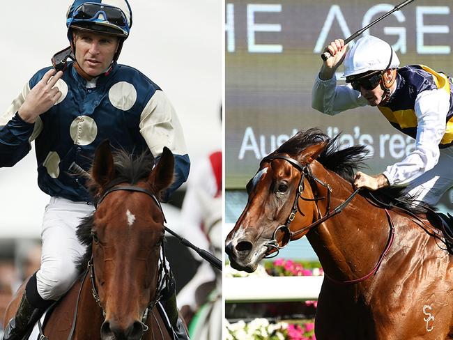 Festival Stakes hope St Lawrence (left) and Winterbottom Stakes runner Lady Laguna have been well found by our experts for Saturday's feature races.