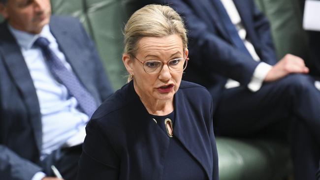 Deputy Opposition leader Sussan Ley said delays in distributing money from the NRF was placing the government’s emissions reductions target out of reach. Picture: NCA NewsWire/Martin Ollman