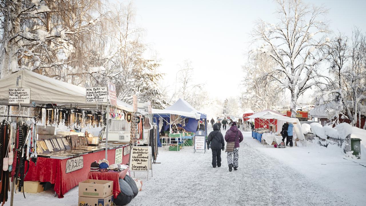 Snow sleighs and reindeer at Jokkmokk Winter Market in Sweden escape