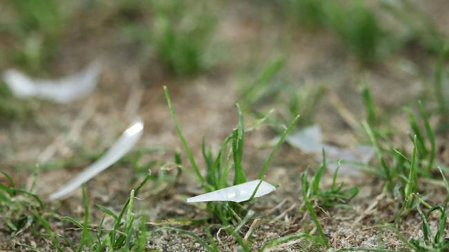 Some of plastic on the pitch at Spotless Stadium in November. Picture: Getty Images 