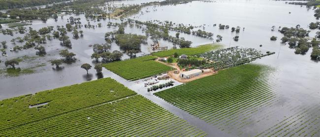 Widespread floods have destroyed crops. Picture: Supplied.