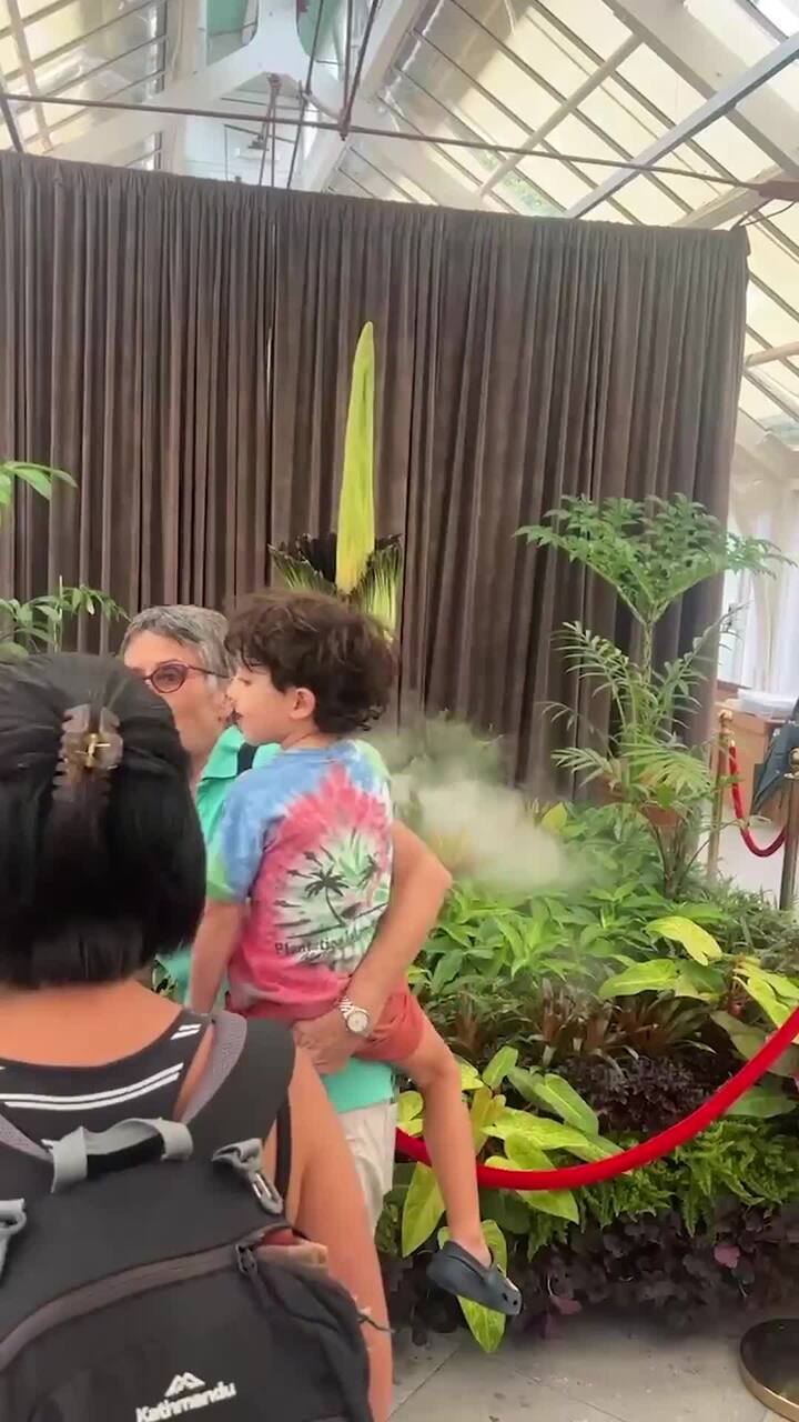 Thousands gather to see Putricia the corpse flower