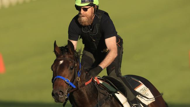 Golden Eagle contender Maximal has a gallop at Canterbury on Tuesday. Picture: Getty Images
