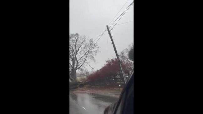 Storm Gerrit Winds Topple Trees in Western Scotland | NT News