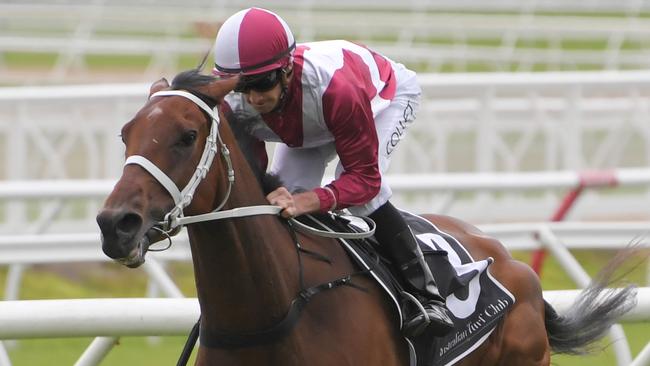 Arcadia Queen has been well backed to win The Everest. Picture: AAP