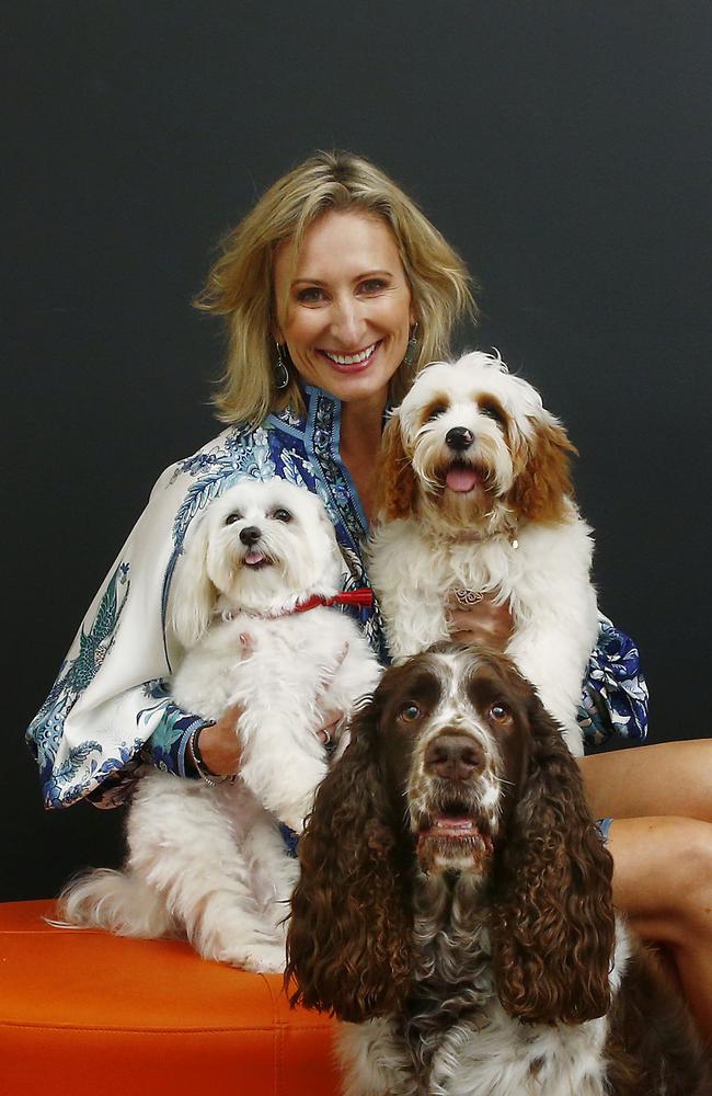 Anneke van den Broek, Owner of the Fur Salon by Rufus &amp; Coco at Mosman, with Tiny the Shiih Tzu, Opal the Covoodle and Rufus the Welsh Springer Spaniel. Picture: John Appleyard