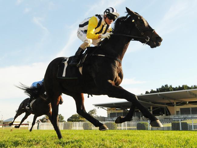 Provocative wins at Ipswich, 28/5 Picture: Grant Peters, Trackside Photography