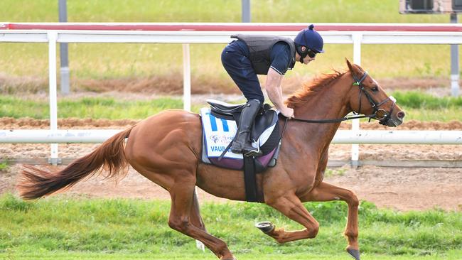 Vauban is one of the Melbourne Cup favourites. (Photo by Pat Scala/Racing Photos via Getty Images)