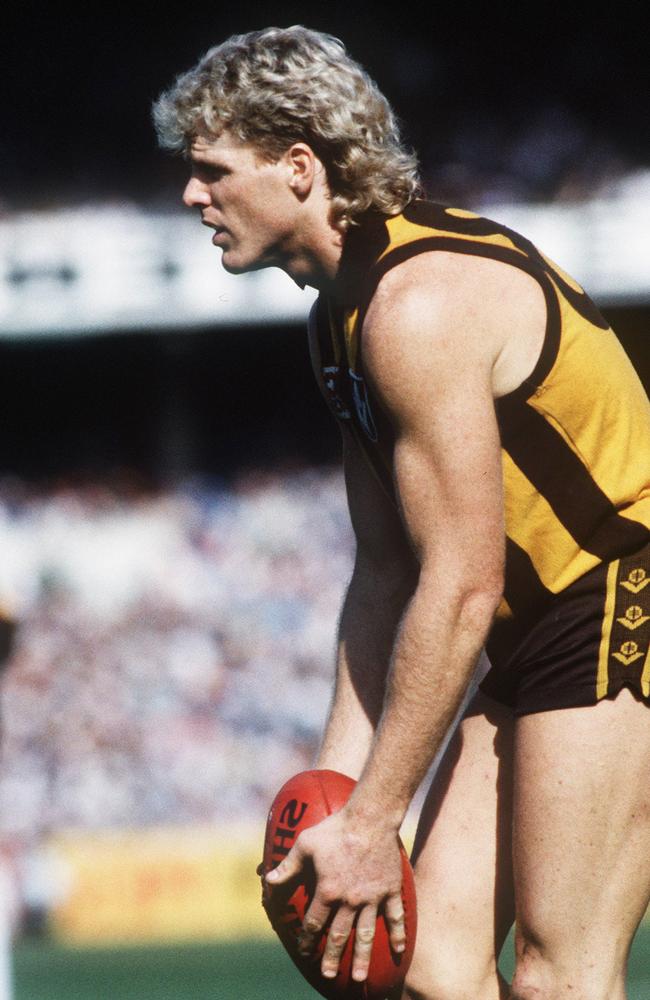 Dermott Brereton made his name as a Hawk before brief stints at two other clubs.