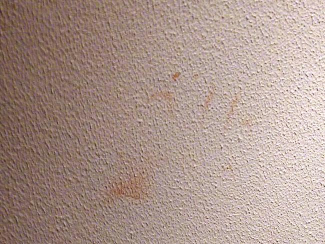 Melanie said dirty hand prints on the wall looked like blood.