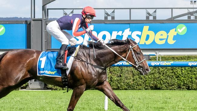 Air Assault hits the line to win the John Letts Cup at Morphettville on Melbourne Cup Day. Picture: Racing SA