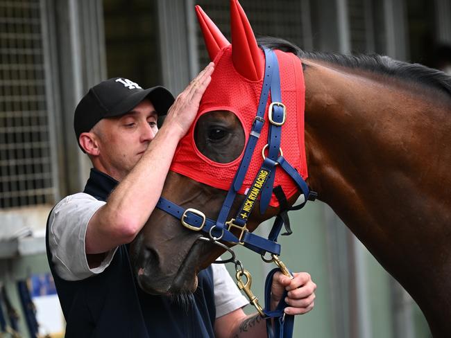 MELBOURNE, AUSTRALIA - OCTOBER 31: Trainer Nick Ryan poses with Red Aces during a Derby Day media opportunity at Flemington Racecourse on October 31, 2024 in Melbourne, Australia.  (Photo by Vince Caligiuri/Getty Images)