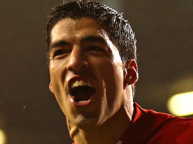 LONDON, ENGLAND - DECEMBER 15: Luis Suarez of Liverpool celebrates scoring their fourth goal during the Barclays Premier League match between Tottenham Hotspur and Liverpool at White Hart Lane on December 15, 2013 in London, England. (Photo by Paul Gilham/Getty Images)