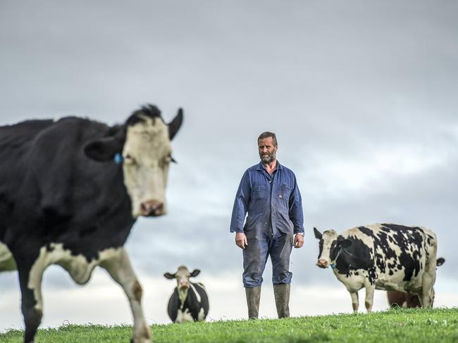 These shelves are only big enough for one type of milk, according to dairy farmers. Picture: Jason Edwards