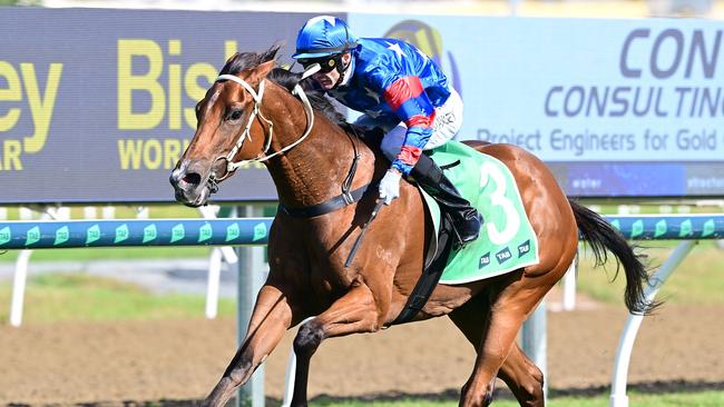 Queenslander Chinny Boom will be seen in action at Caulfield for new trainers on Saturday. Picture: Grant Peters/Trackside Photography