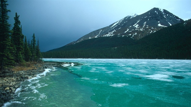 Visitors to the Redfern-Keily Park area face rapidly changing weather, avalanches and encounters with grizzly and black bears. Picture: Andrew Terrill/Rex/Shutterstock