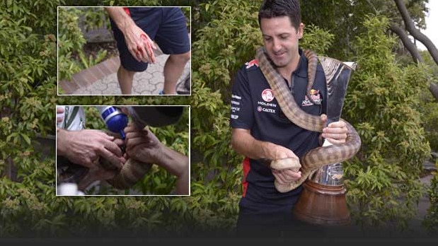 Jamie Whincup and a Sydney Zoo python didn’t actually hit it off back in 2014.