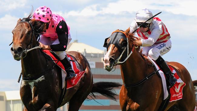 MELBOURNE, AUSTRALIA - FEBRUARY 13: Damien Oliver riding Flying Artie defeats Dwayne Dunn riding Star Turn in Race 4, Blue Diamond Prelude during Melbourne Racing at Caulfield Racecourse on February 13, 2016 in Melbourne, Australia. (Photo by Vince Caligiuri/Getty Images)