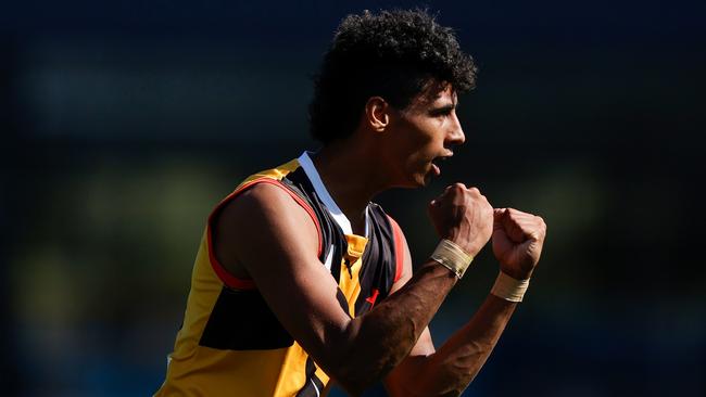 Dandenong Stingrays’ Sam Latreille has made a strong start to the season. Picture: Getty Images