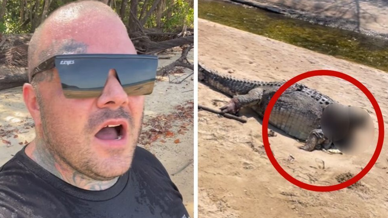 Fury at large crocodile beheading at Cow Bay Near Daintree, Qld |  news.com.au — Australia's leading news site