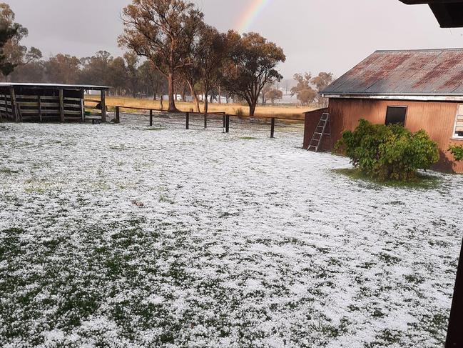 Huge ‘tennis-ball sized’ hail hits Southern Downs