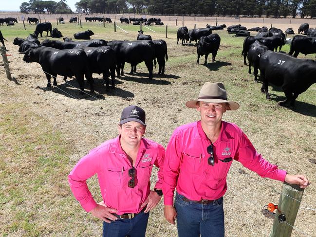 Te Mania Angus bull sale, Hexham, Sam Reid & Edward Gubbins, Te Mania,  Picture Yuri Kouzmin