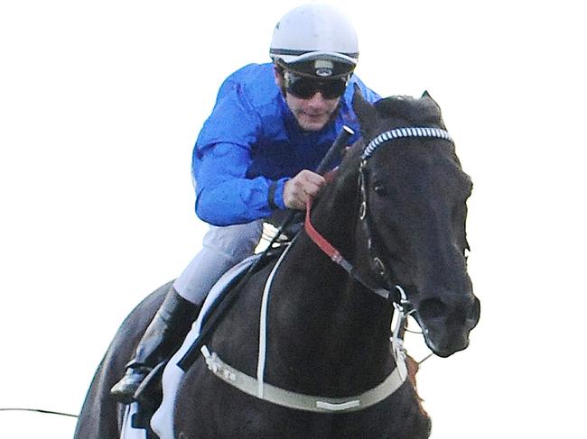 Photographs: Simon Bullard. Race 6 TATTERSALLS CLUB CHELMSFORD STAKES (3YO&UP) - 1600m. Winner 'Complacent' ridden by Sam Clipperton. Trained by John O'Shea.