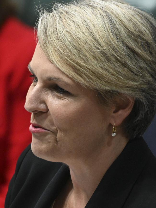 Tanya Plibersek. Picture: NCA NewsWire / Martin Ollman