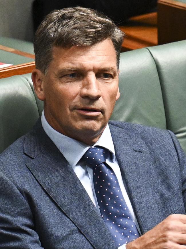 Shadow Treasurer Angus Taylor. Picture: NCA NewsWire/Martin Ollman