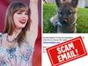 Fake Swift tickets, puppies: Aussie scam hotspots revealed