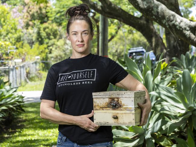 Sarah Hamilton from 'Bee Yourself' with native stingless bees, Wednesday, January 29, 2025 - Picture: Richard Walker