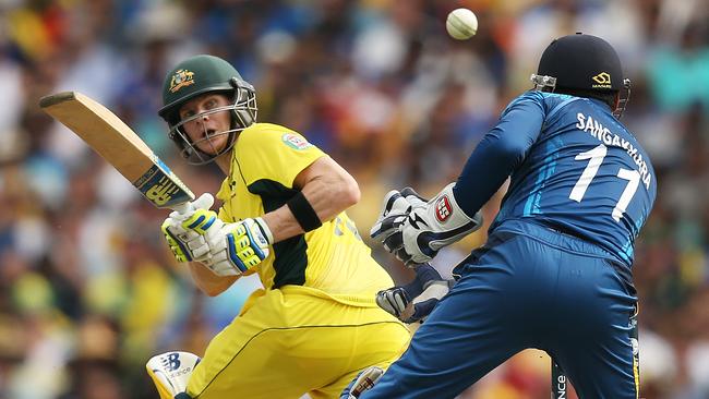 Steve Smith sweeps fine during ICC Cricket World Cup match between Australia and Sri Lanka at the SCG. pic. Phil Hillyard