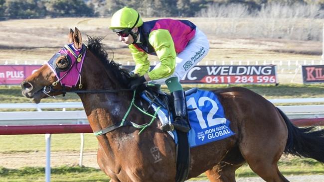 Prefer To Smile can notch a third consecutive win when she heads to Hawkesbury on Sunday. Picture: Bradley Photos