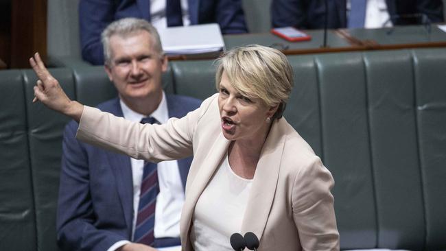 A draft of the “red book” prepared by Department of Climate Change, Energy, the Environment and Water bureaucrats for the incoming Albanese Government, calls on Ms Plibersek to “accelerate recovery” of another 450 gigalitres. Picture: NCA NewsWire / Gary Ramage