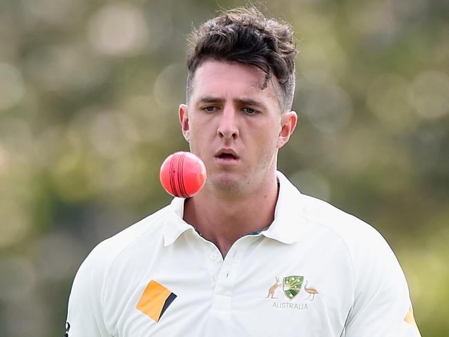 BRISBANE, AUSTRALIA - SEPTEMBER 08:  Daniel Worrall  of Australia A prepares to bowl during the Cricket Australia via Getty Images Winter Series match between Australia A and India A at Allan Border Field on September 8, 2016 in Brisbane, Australia.  (Photo by Matt Roberts - CA/Cricket Australia via Getty Images/Getty Images)