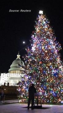 Christmas trees from across the US light up National Mall