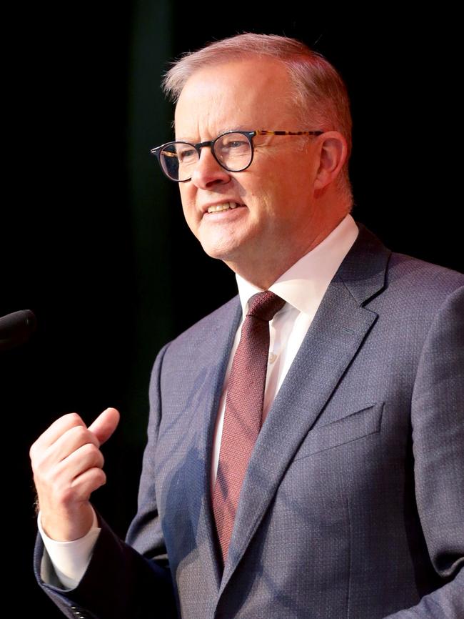 Anthony Albanese. Picture: Steve Pohlner