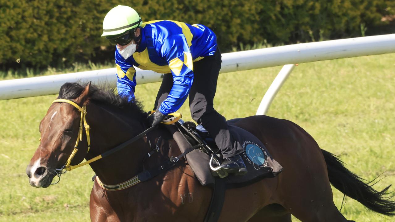 Randwick Barrier Trials