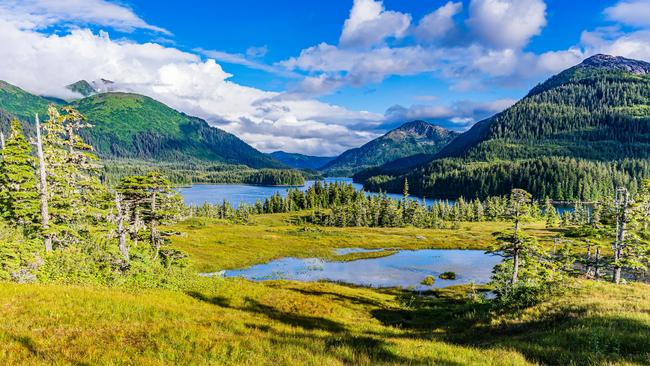 Cruising in Alaska is one of Whelan’s favourite journeys.