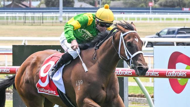 Regal Secret has a great chance to break through for another win when she heads to Mornington on Wednesday. Picture: Racing Photos via Getty Images.