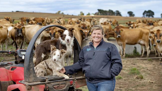 Sarah Chant with her Jersey cows and dogs Border Collies Maisey and Diesel. Picture: Zoe Phillips