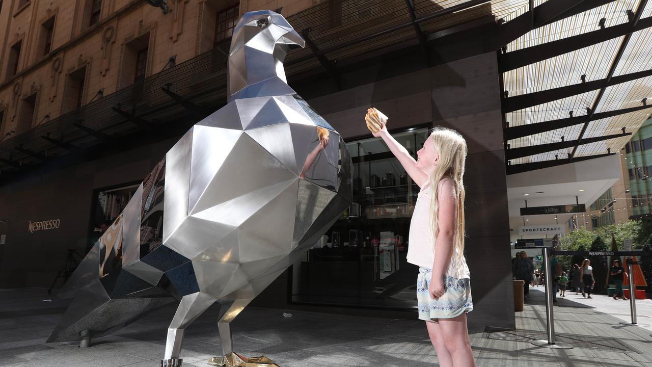 Rundle Mall pigeon is great public art | The Advertiser